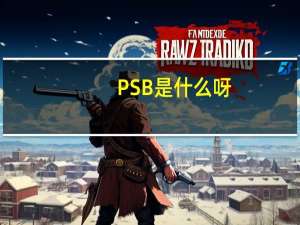 PSB是什么呀