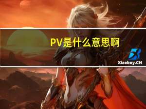 PV是什么意思啊