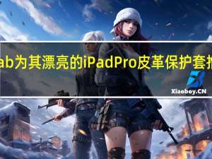 PicasoLab为其漂亮的iPadPro皮革保护套推出三种新配色