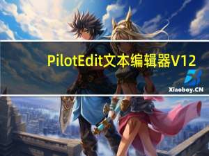 PilotEdit文本编辑器 V12.5.0 汉化破解版（PilotEdit文本编辑器 V12.5.0 汉化破解版功能简介）