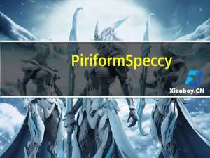 Piriform Speccy(电脑配置检测软件) V1.26 汉化版（Piriform Speccy(电脑配置检测软件) V1.26 汉化版功能简介）