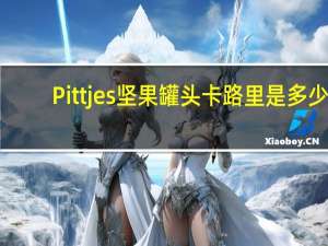 Pittjes 坚果罐头卡路里是多少