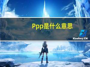 Ppp是什么意思（ppp概念是什么意思）