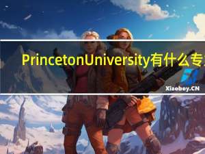 Princeton University有什么专业