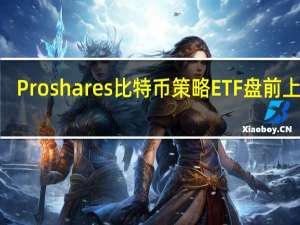 Proshares比特币策略ETF（Proshares Bitcoin Strategy ETF）盘前上涨8.3%比特币突破一年高点