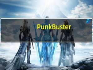 PunkBuster(游戏反作弊软件) V3.8 官方版（PunkBuster(游戏反作弊软件) V3.8 官方版功能简介）