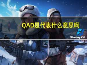 QAD是代表什么意思啊