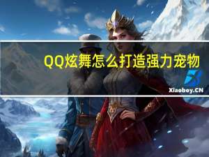 QQ炫舞怎么打造强力宠物（QQ炫舞如何打造强力宠物）