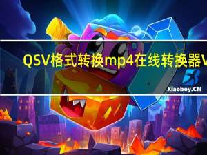 QSV格式转换mp4在线转换器 V3.1 绿色版（QSV格式转换mp4在线转换器 V3.1 绿色版功能简介）