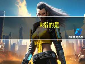 R指的是
