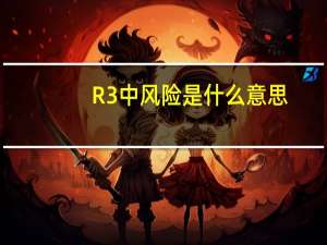 R3中风险是什么意思