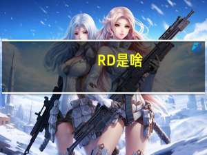 RD是啥