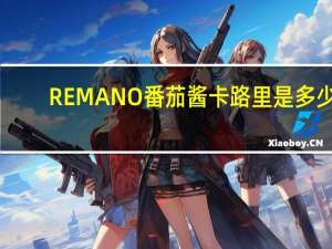 REMANO 番茄酱卡路里是多少