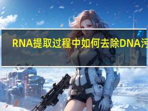 RNA提取过程中如何去除DNA污染