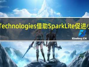 RUSH Technologies借助SparkLite促进小型企业增长