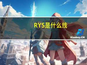 RYS是什么线