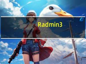 Radmin3.4中文破解版 授权注册版（Radmin3.4中文破解版 授权注册版功能简介）