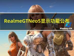 Realme GT Neo5显示功能公布
