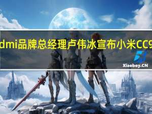 Redmi品牌总经理卢伟冰宣布小米CC9Pro退市