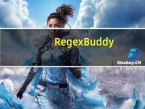 RegexBuddy(正则表达式测试工具) V4.4.1 官方最新版（RegexBuddy(正则表达式测试工具) V4.4.1 官方最新版功能简介）