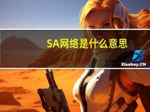 SA网络是什么意思（网络是什么意思）