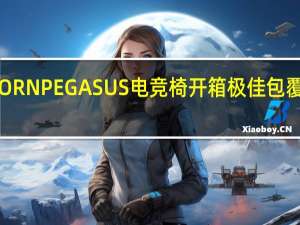 SADESUNICORNPEGASUS电竞椅开箱极佳包覆感游戏中无限畅玩