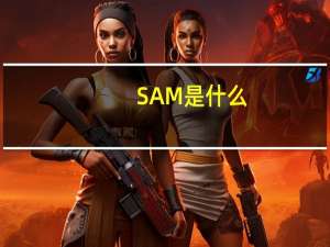 SAM是什么