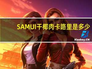 SAMUI 干椰肉卡路里是多少