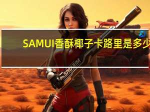 SAMUI 香酥椰子卡路里是多少