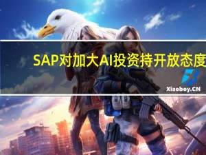 SAP对加大AI（人工智能）投资持开放态度
