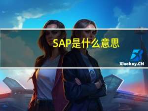 SAP是什么意思