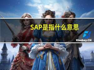SAP是指什么意思