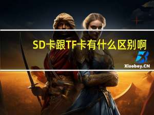SD卡跟TF卡有什么区别啊