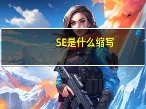 SE是什么缩写