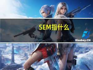 SEM指什么