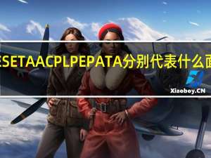SE SETA AC PL PE PA TA 分别代表什么面料成分