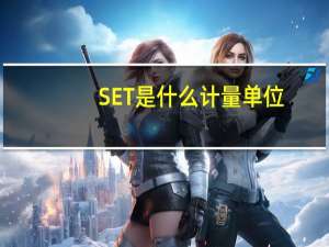 SET是什么计量单位