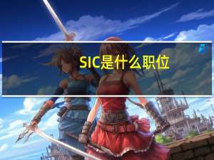 SIC是什么职位