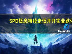 SPD概念持续走低 开开实业跌停