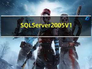 SQL Server 2005 V1.0 标准版（SQL Server 2005 V1.0 标准版功能简介）