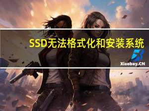 SSD无法格式化和安装系统