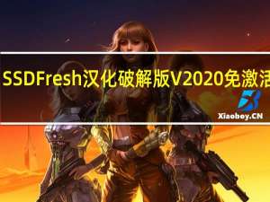 SSDFresh汉化破解版 V2020 免激活码版（SSDFresh汉化破解版 V2020 免激活码版功能简介）