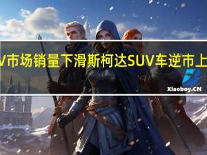 SUV市场销量下滑 斯柯达SUV车逆市上扬靠什么