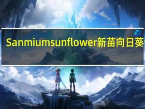 Sanmiumsunflower 新苗向日葵饼干(乳酪味夹心)的热量是多少