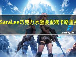 Sara Lee 巧克力冰激凌蛋糕卡路里是多少