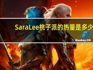 Sara Lee 桃子派的热量是多少