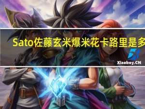 Sato 佐藤玄米爆米花卡路里是多少