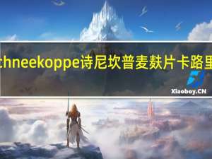 Schneekoppe 诗尼坎普 麦麸片卡路里是多少