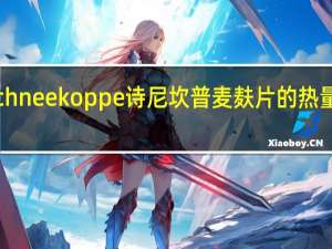 Schneekoppe 诗尼坎普 麦麸片的热量是多少