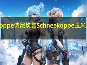 Schneekoppe 诗尼坎普 Schneekoppe玉米片的热量是多少